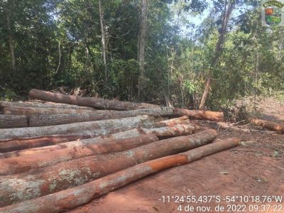 Batalh�o Ambiental apreende tratores, motosserras e aplica multa de R$ 28 milh�es no MT