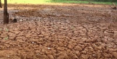 Rio Grande do Sul enfrenta a estiagem mais severa em 4 anos