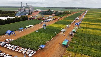 Organiza��o celebra resultados do X Encontro de Variedades de Soja e Tecnologia