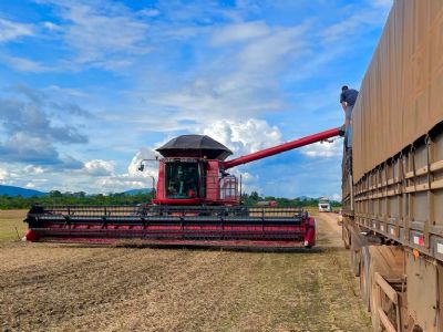 Vendas de m�quinas agr�colas t�m alta de 19,4% em 2022