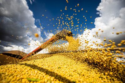 Novo Plano Safra e a reinven��o do agro diante de um cen�rio de pre�os que incomodam o setor