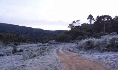 Segunda onda de frio causar� mais geada no Sul. Veja a previs�o do tempo