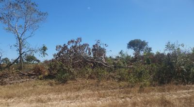 Sema embarga �rea de 970 hectares e multa propriet�rio em R$ 970 mil por desmatamento ilegal