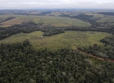 Ibama apreende milho e multa produtores por desmatamento