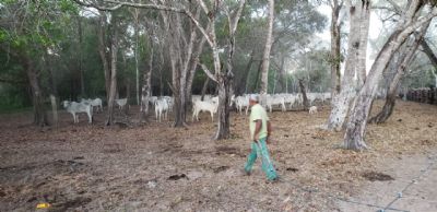 Acontece nesta sexta-feira em S�o F�lix do Araguaia Audi�ncia P�blica sobre retireiros do Araguaia, povos tradicionais de Luciara/MT e Jair Fiorucci