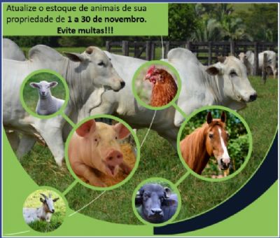 Termina neste m�s o prazo para atualiza��o de estoque de animais em Mato Grosso