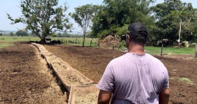 Seca mata animais e reduz produ��o de leite em Mato Grosso