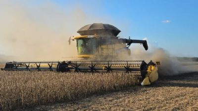 Minist�rio da Agricultura estuda medidas diante registro de produtividade de 10 sc/ha de soja em MT; v�deo