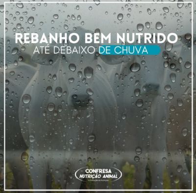 Com a chegada das chuvas Pecuaristas devem se prevenir, confira