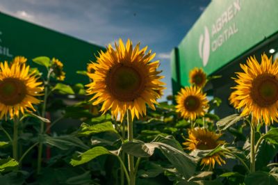 DINETEC chega ao terceiro dia com recorde de p�blico