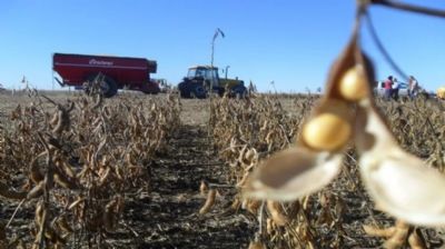 Produtores podem n�o conseguir �fechar a conta� no fim da safra