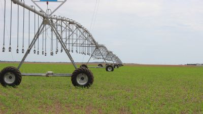 Sedec integra comitiva para imers�o sobre t�cnicas e inova��es de irriga��o e lavouras de gr�os nos Estados Unidos