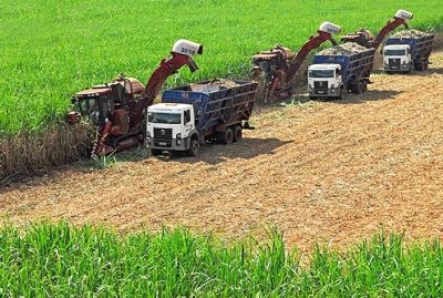 Produ��o de cana-de-a��car em MT cresce 11% na safra 2023/24