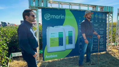 Fertilizantes a base de peixe apresentam boa performance e contribui para avan�os t�cnicos no cultivo de algod�o em MT