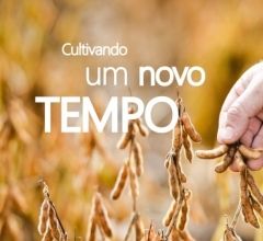 Aprosoja lan�a miniss�rie para contar 15 anos de hist�ria