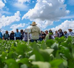 Diversas autoridades e produtores rurais participam do primeiro dia da visita t�cnica ao Ctecno Parecis