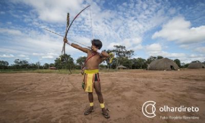 Mato Grosso possui quase 2 milh�es de hectares de terras sob disputa judicial