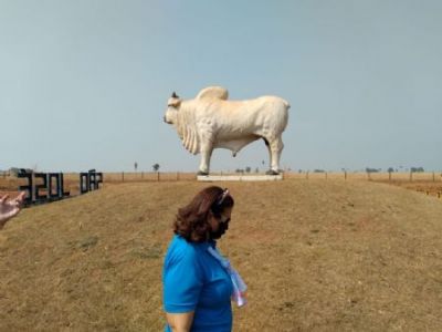 �Rabo� do Boi em S�o Jos� do Xingu cria pol�mica