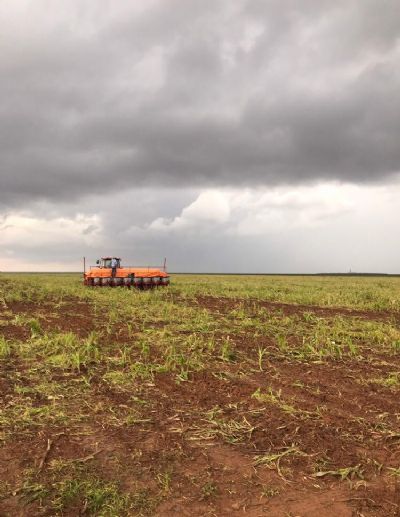 Ap�s alta na saca, Mato Grosso aumenta plantio de soja