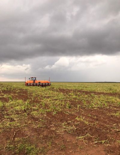 Previs�o preocupa produtores de soja em Confresa