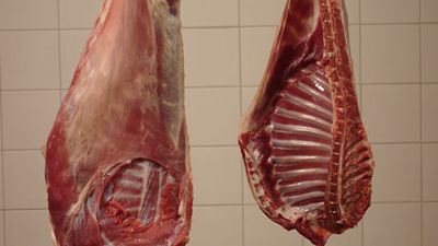 Munic�pios recebem doa��o de 100 mil quilos de carne caprina do PAA