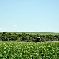 Mapa registra 28 novos defensivos