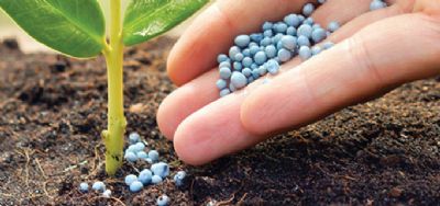 Antecipe a compra do adubo: Vai subir mais