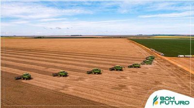 Grupo Bom futuro comemora avan�o da colheita de soja em MT