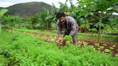 Pandemia: Senado aprova ajuda emergencial a agricultores familiares