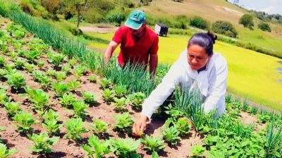 Agricultura Familiar repudia PL da merenda escolar