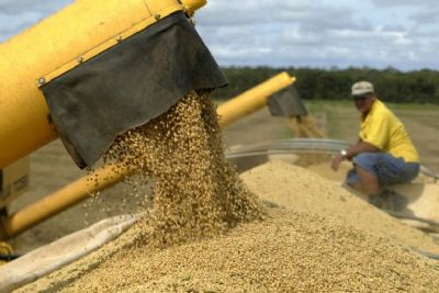 Safra 2022/23 de soja de Mato Grosso pode ir a 42,8 milh�es de toneladas