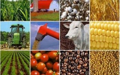 Lavouras e pecu�rias em Mato Grosso ir�o gerar R$ 74,2 bilh�es em 2018