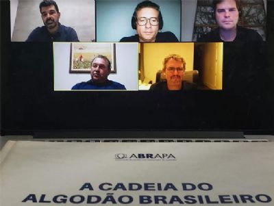 Cotonicultores debatem o mundo p�s-covid e as perspectivas para o algod�o