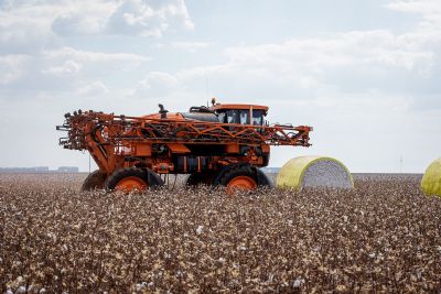 Produtores de algod�o devem cadastrar propriedades no Indea at� o pr�ximo dia 15