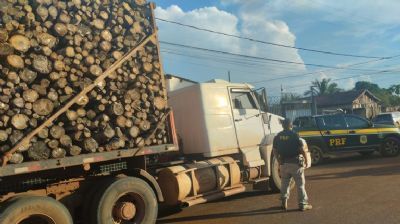 PRF apreende 70 m� de produto florestal irregular em Confresa