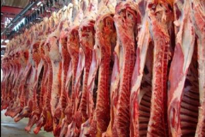 2020 foi positivo para mercado da carne de MT