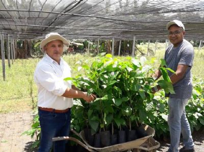Secret�rio de Agricultura de Confresa fala sobre programa 