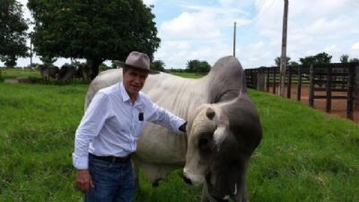 Dinapec volta com todo g�s para debater inova��es com pecuaristas de corte