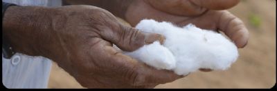 Encontro de previs�o de safra Anec/Anea 2022/2023