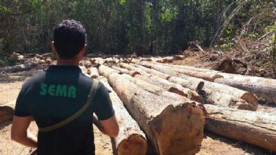 Sema intensifica combate ao desmatamento ilegal a partir de maio