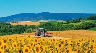 Governo federal anuncia R$ 236,3 bilh�es para o Plano Safra 2020/2021