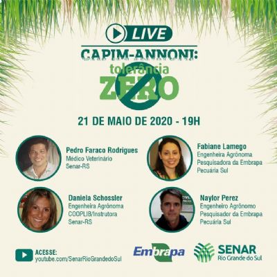 Live do Senar e Embrapa aborda controle do capim-annoni