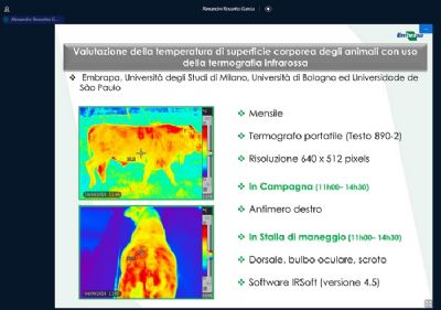N�o invasiva, termografia � usada para monitorar bem-estar animal