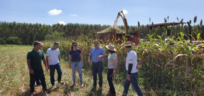 Integra��o de tecnologias agropecu�rias promove desenvolvimento regional no Centro-Oeste mineiro
