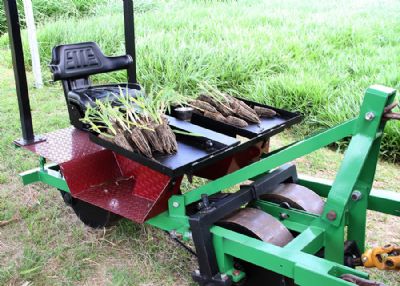 Plantadeira de mudas de forrageiras aumenta a produtividade do trabalho em at� oito vezes