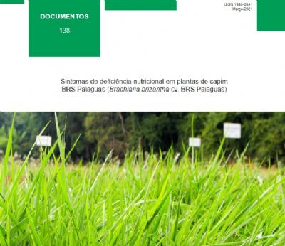 Publica��o auxilia produtor a identificar defici�ncia nutricional em capim