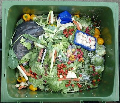 Estudo sugere converter res�duos agroalimentares em mat�ria-prima para alavancar a bioeconomia circular