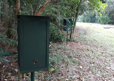 Oito esp�cies de abelhas-sem-ferr�o s�o identificadas em ref�gio biol�gico no Paran�