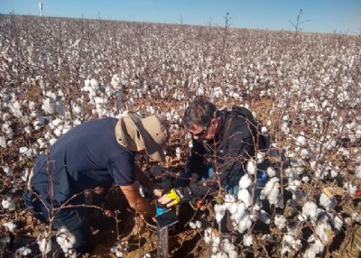 Irriga��o inteligente e automatizada � testada pela pesquisa no Brasil