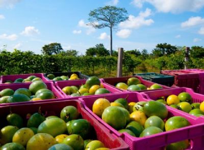 Temos espa�o para reverter essa realidade